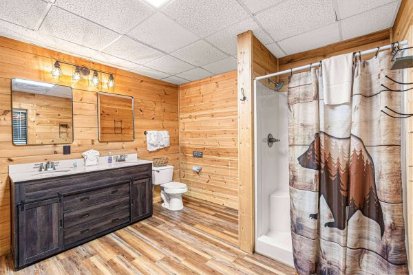 Lower Level Bath