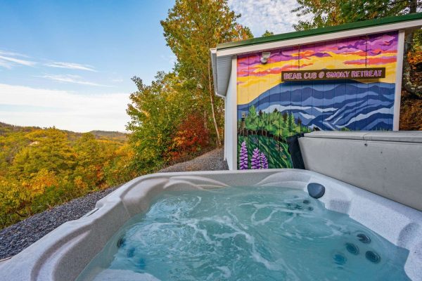 Amazing views from the Bear Cub Hot Tub