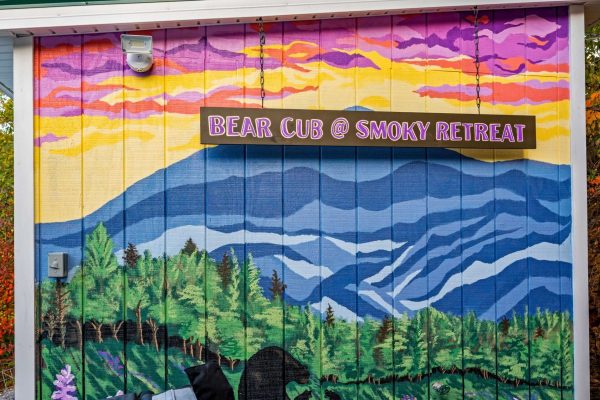 Custom Mural on the wall by the hot tub