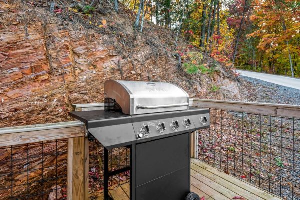 Gas Grill at Bear Cub